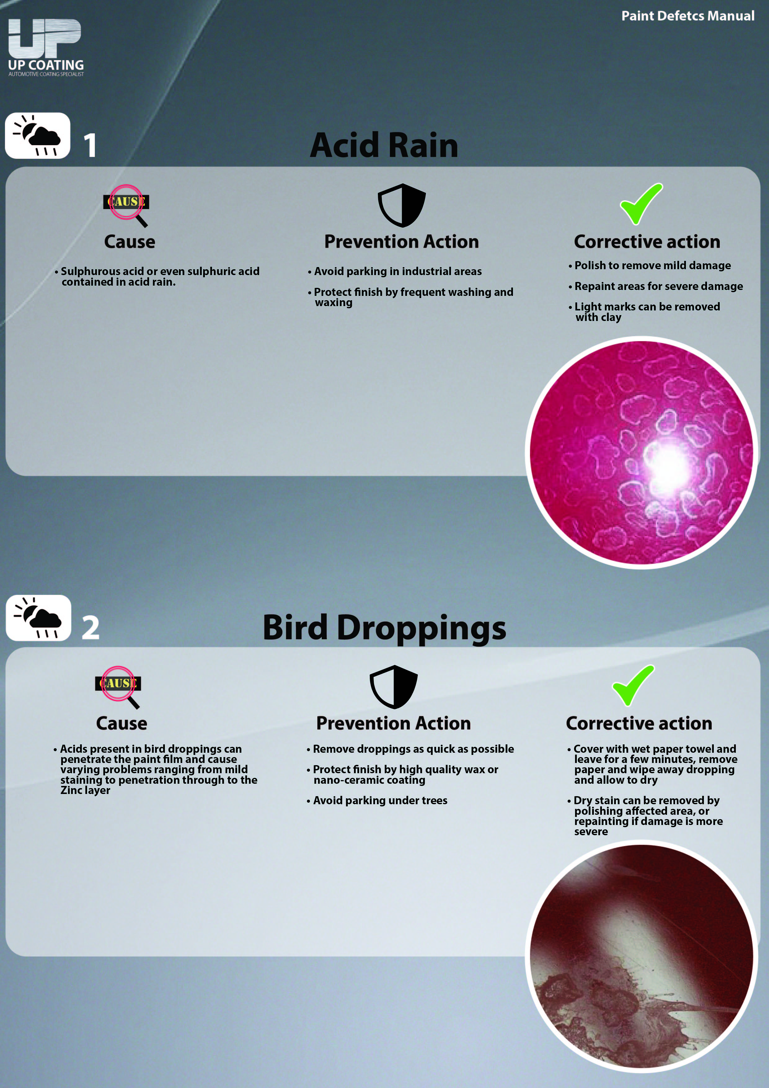 Acidrain & Bird